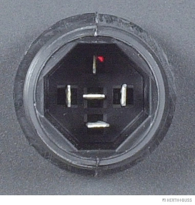 Tail Light Assembly (83840504)