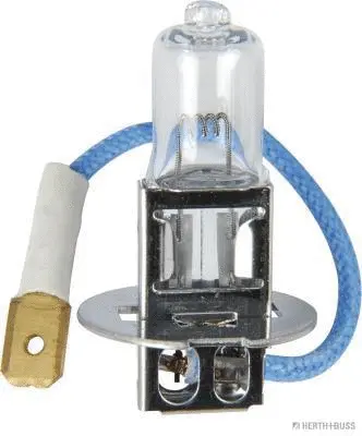 Bulb, worklight (89901094)