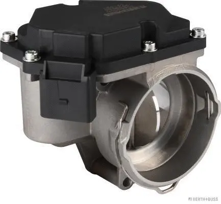 Throttle Body (70650020)