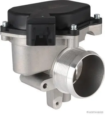 Throttle Body (70650038)