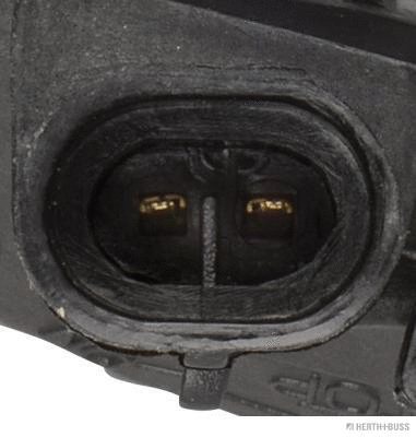 Front Fog Light