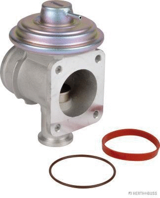 EGR Valve (70671104)