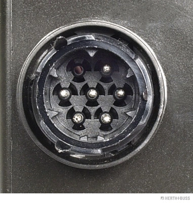 Tail Light Assembly (83830014)