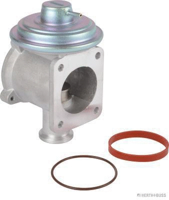 EGR Valve (70671102)