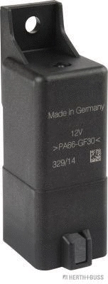 Control Unit, glow time (75614316)