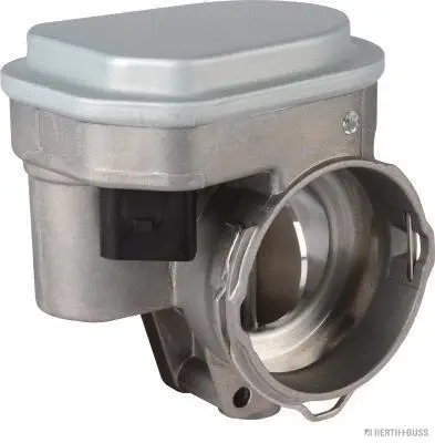 Throttle Body (70650018)