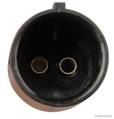 Sensor, wheel speed (70660543)