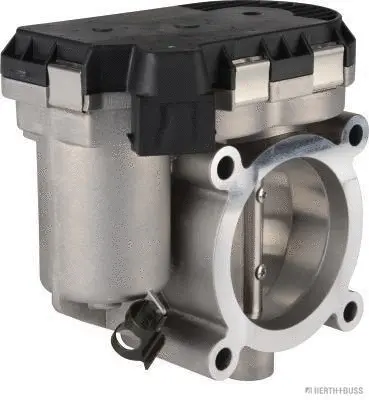 Throttle Body (70650209)