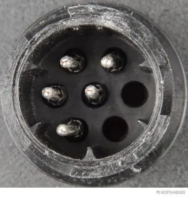 Tail Light Assembly (83830061)