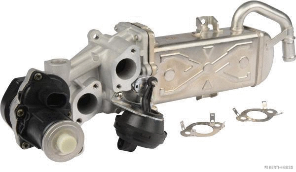 EGR Valve (70671090)