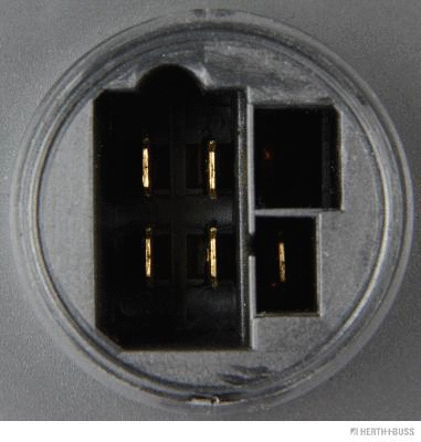 Tail Light Assembly (83840360)