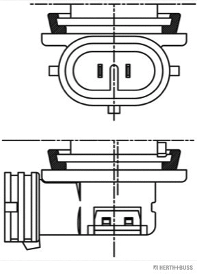 Bulb, front fog light