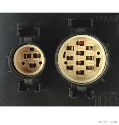 Tail Light Assembly (83840478)