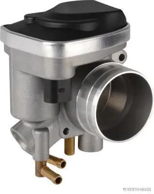 Throttle Body (70650025)