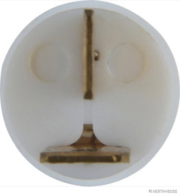 Bulb, instrument lighting