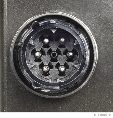 Tail Light Assembly (83830058)