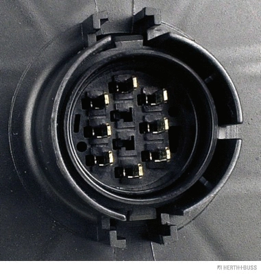 Tail Light Assembly (83840524)