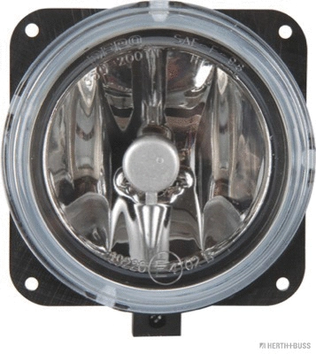 Front Fog Light (80660010)