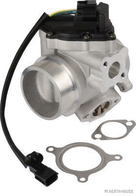 EGR Valve (70671516)