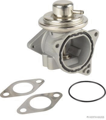 EGR Valve (70671007)