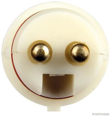 Sensor, wheel speed (70660541)