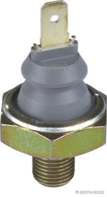Oil Pressure Switch (70541051)