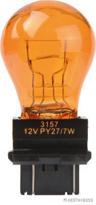 Bulb, direction indicator (89901324)