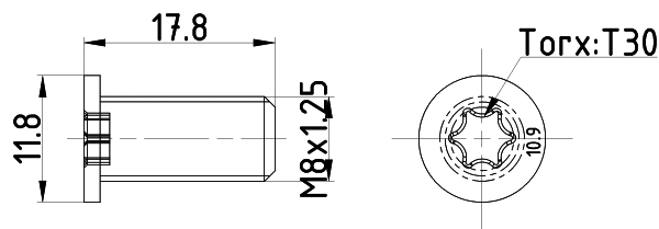 Bolt, brake disc (TPM0013)