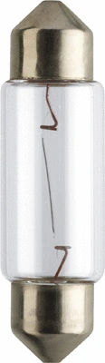 Bulb