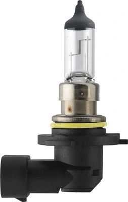 Bulb, spotlight