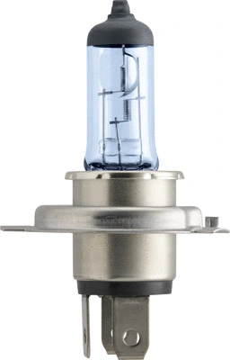 Bulb, spotlight