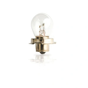 Bulb, spotlight (12008C1)