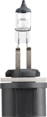 Bulb, front fog light