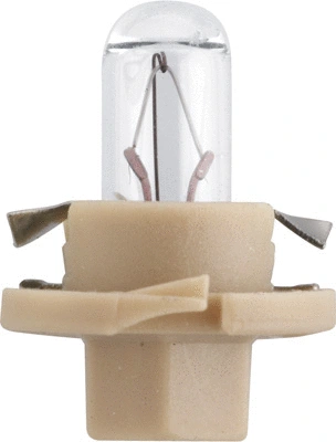 Bulb