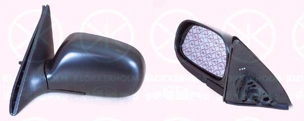 Exterior Mirror (81431021)