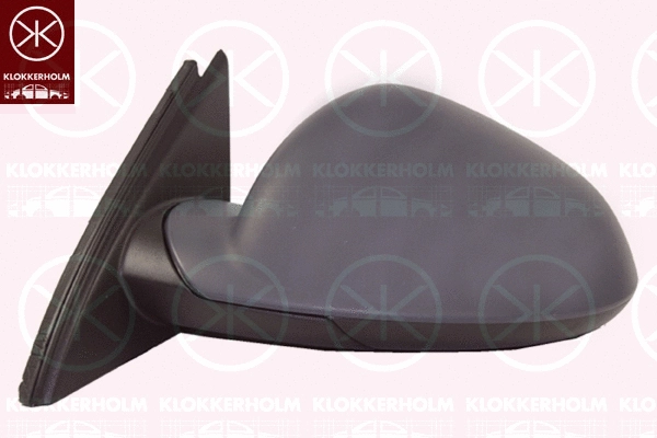 Exterior Mirror (50791043)