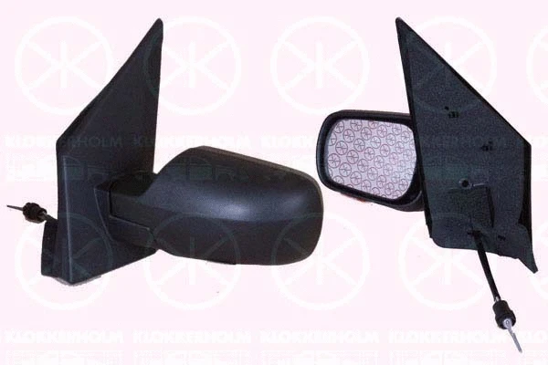 Exterior Mirror (25761021)