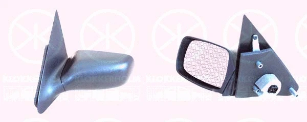 Exterior Mirror (25531041)