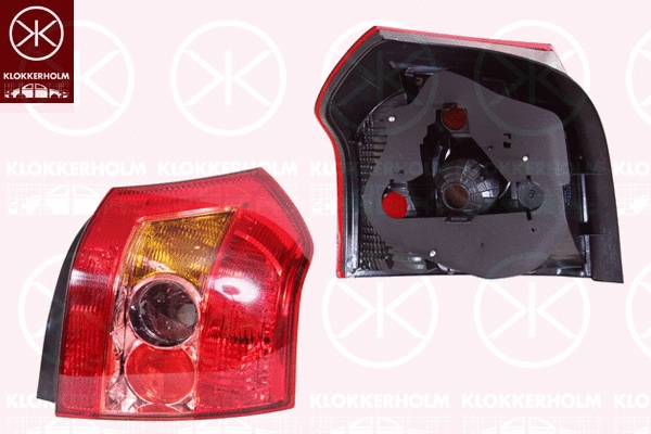 Tail Light Assembly (81160722)