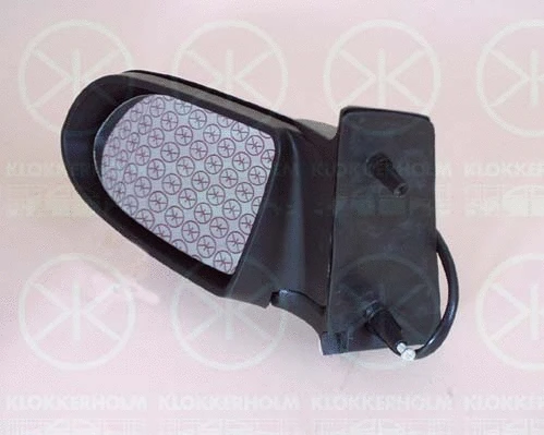 Exterior Mirror (50621042)