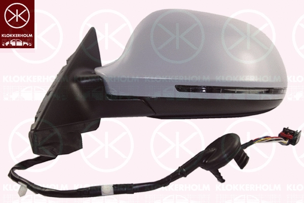 Exterior Mirror (00261073)
