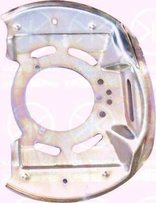 Splash Guard, brake disc (5076377)