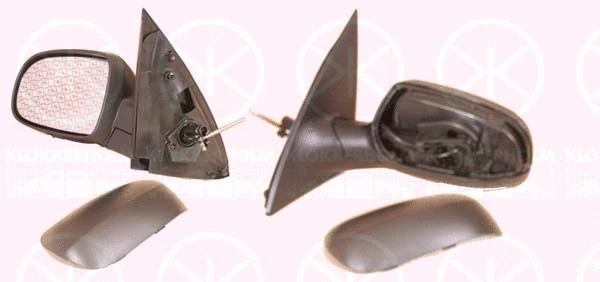 Exterior Mirror (50231021)