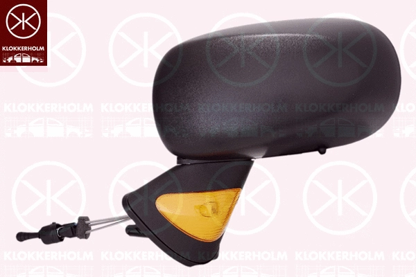 Exterior Mirror (60071022)