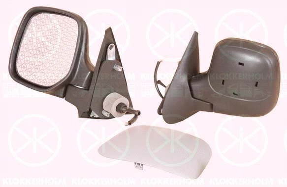 Exterior Mirror (05501027)