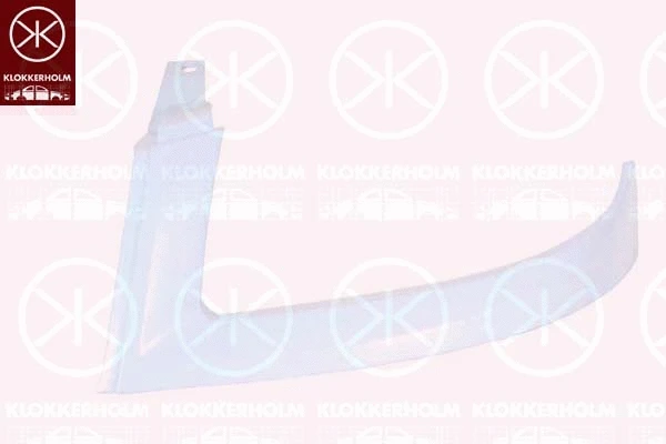 Headlight Trim (2042211)