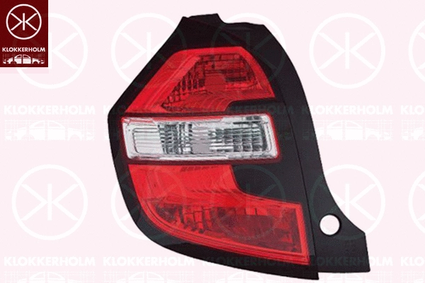 Tail Light Assembly (60040714)