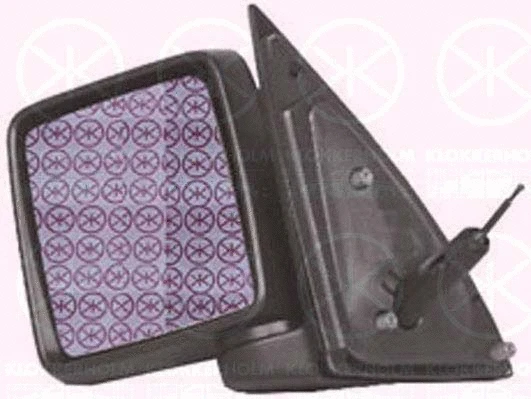 Exterior Mirror (50971024)