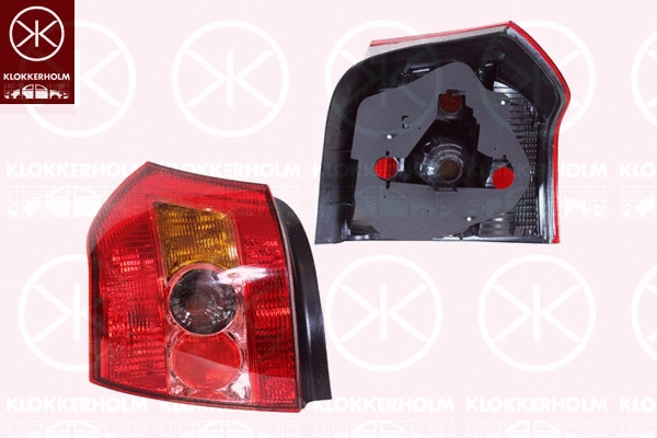 Tail Light Assembly (81160721)