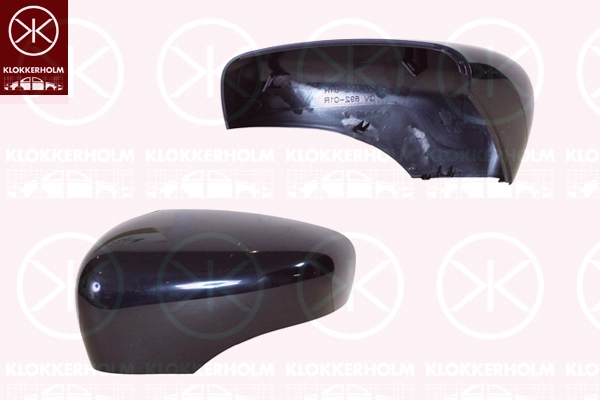 Housing, exterior mirror (60341054)